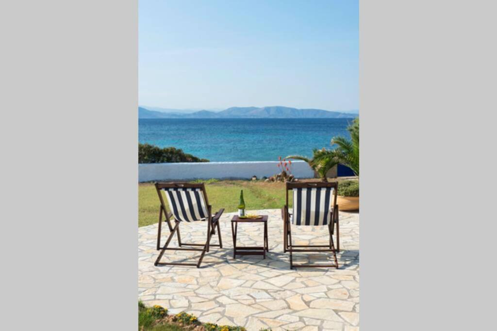 Palmaya Villa, Unique Seafront Experience Vagia  Екстер'єр фото