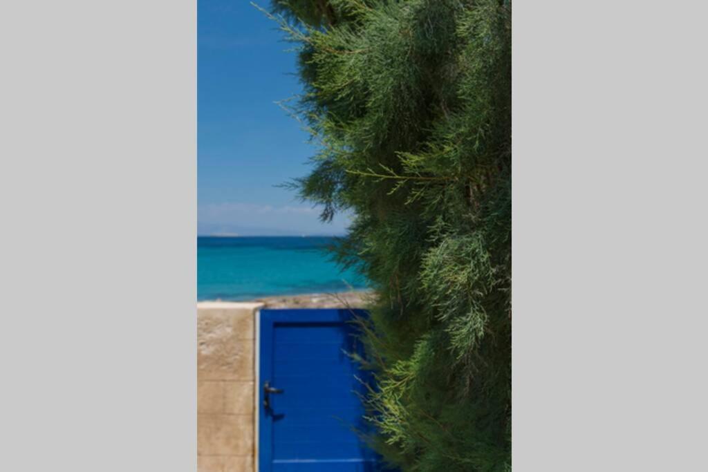 Palmaya Villa, Unique Seafront Experience Vagia  Екстер'єр фото